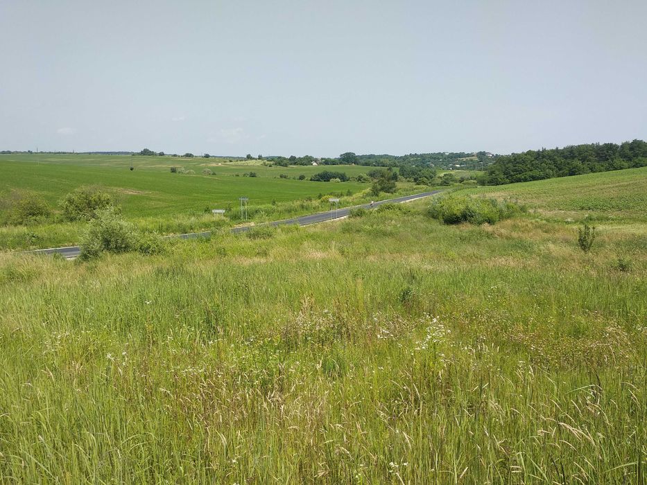 Продається ділянка на межі с. Колодіївка і с. Вовчинець, 1 лінія _RR