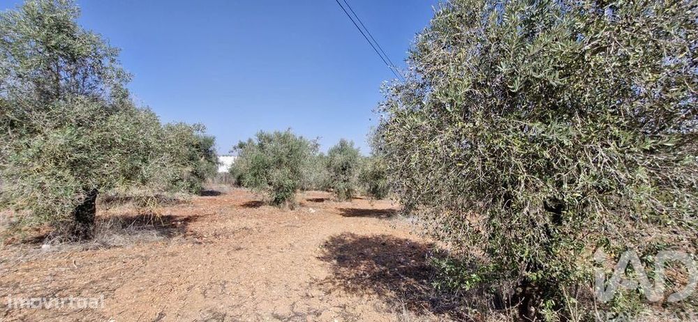 Terreno em Azambujeira e Malaqueijo de 12080,00 m2