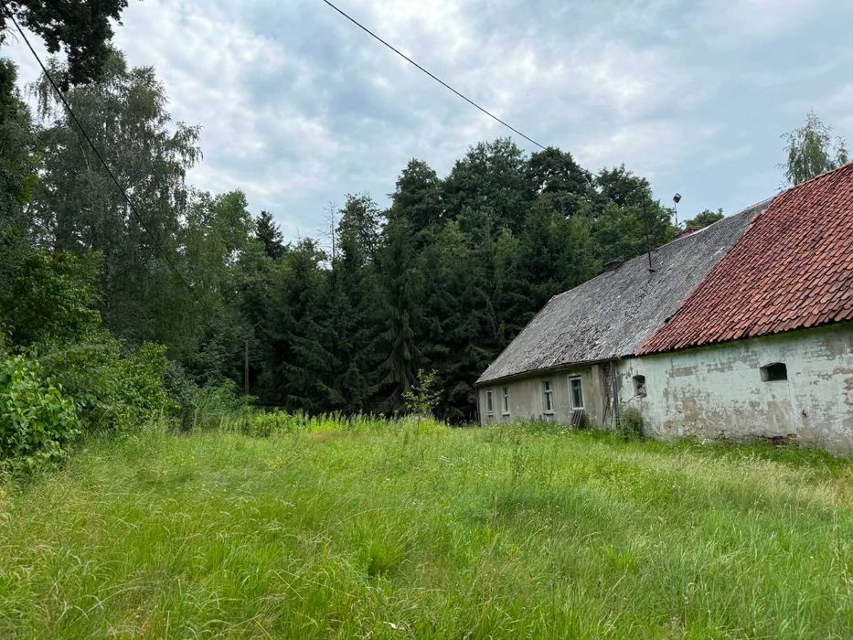 Dom – Jałowiec - Widok 4
