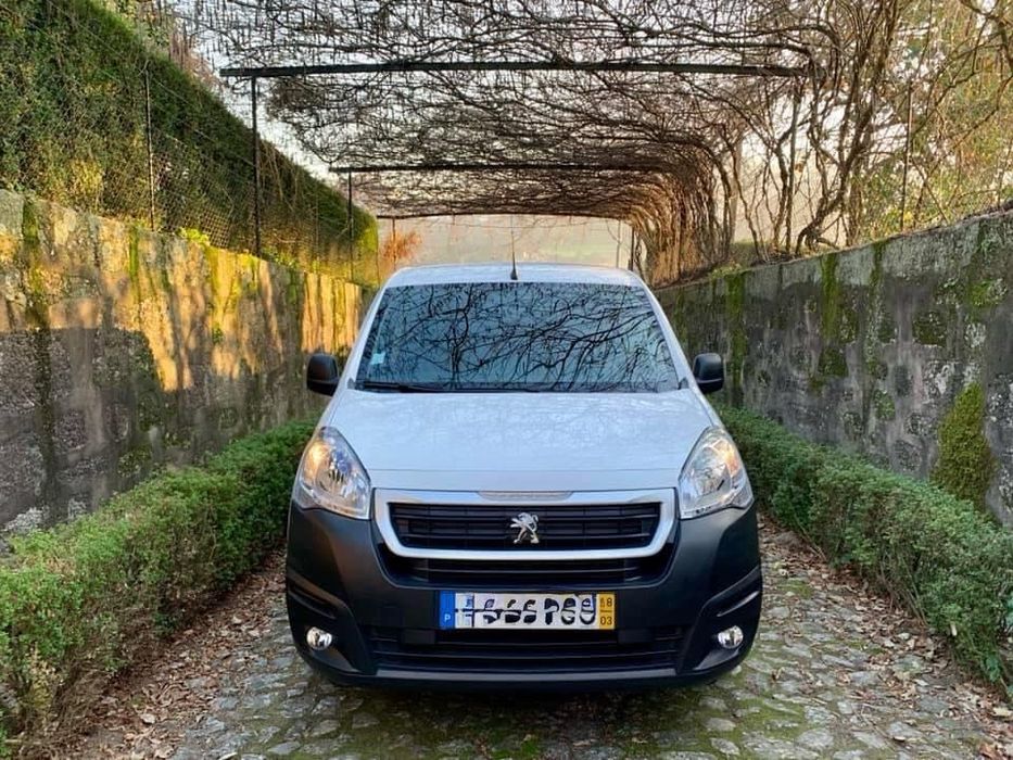 Venda de Negócio de venda peixe ambulante