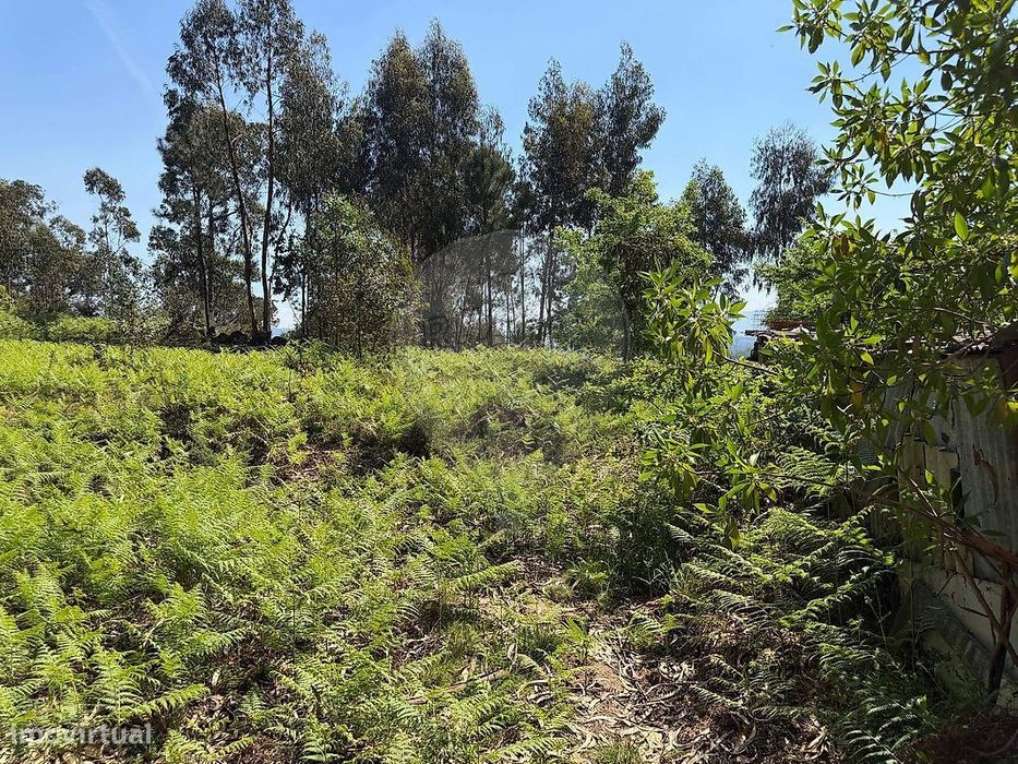 Terreno  para venda — Vila Verde E Santão, Porto