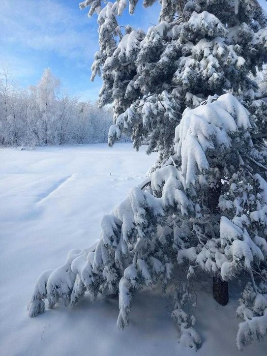Готель “Карпатські Полонини” | 4 дні/3 ночі для чотирьох від 12900 грн