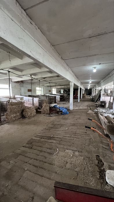Продам приміщення під ферму