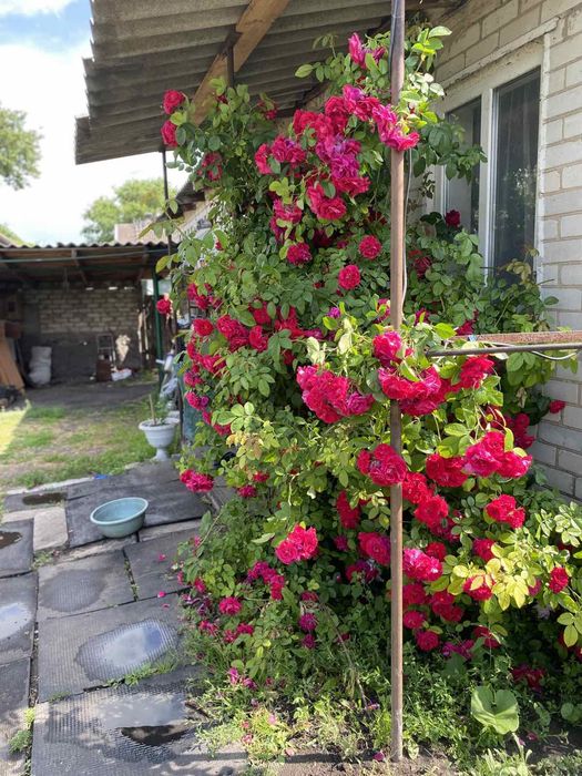 ,, Будинок з газовим +пічним опаленням