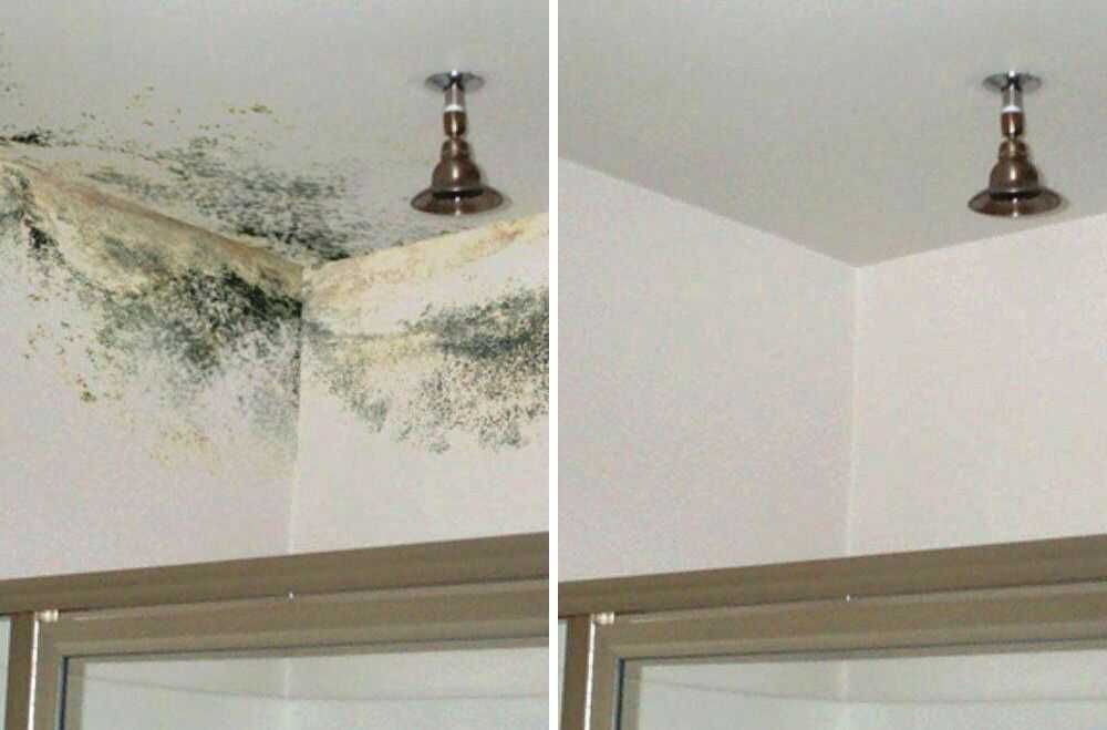 pintura  de interiores - paredes - tetos - moveis - reparações