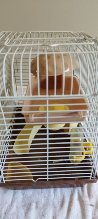 Gaiola para Hamster / Roedores Completa e Equipada (22x25x16) – Barata!