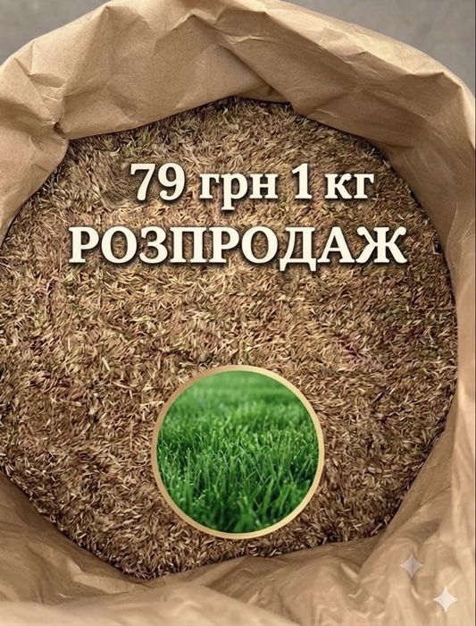Насіння універсальної газонної трави / Семена газонных трав / Семена газонной травы универсальной