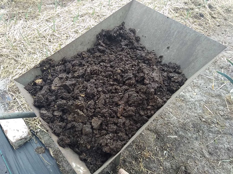 obornik koński, naturalny, przekompostowany, bez słomy, pod pomidory, warzywa do ogrodu