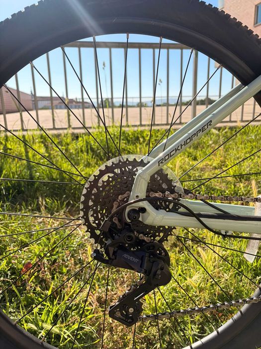 Specialized Rockhopper Comp 2023 29"