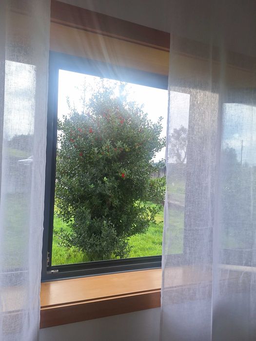 Família de Acolhimento/ Cuidado 24horas por dia!