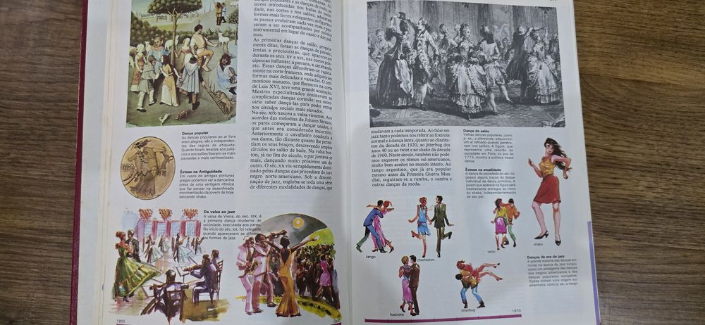 Livro Enciclopédia Combi Visual