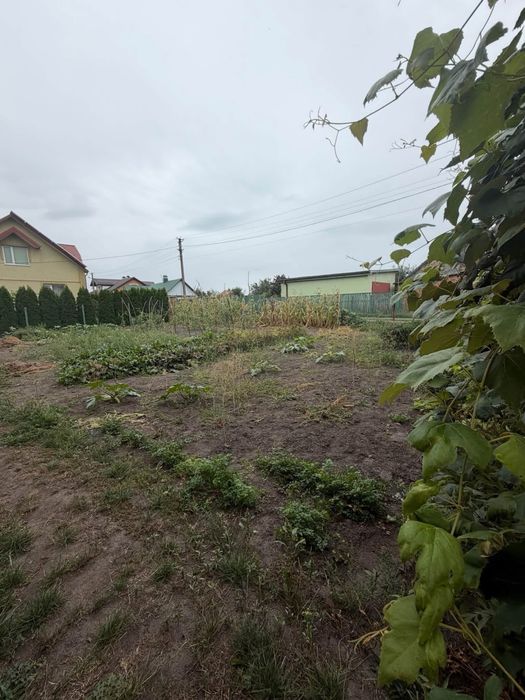 Продаж будинку с.Добрячин