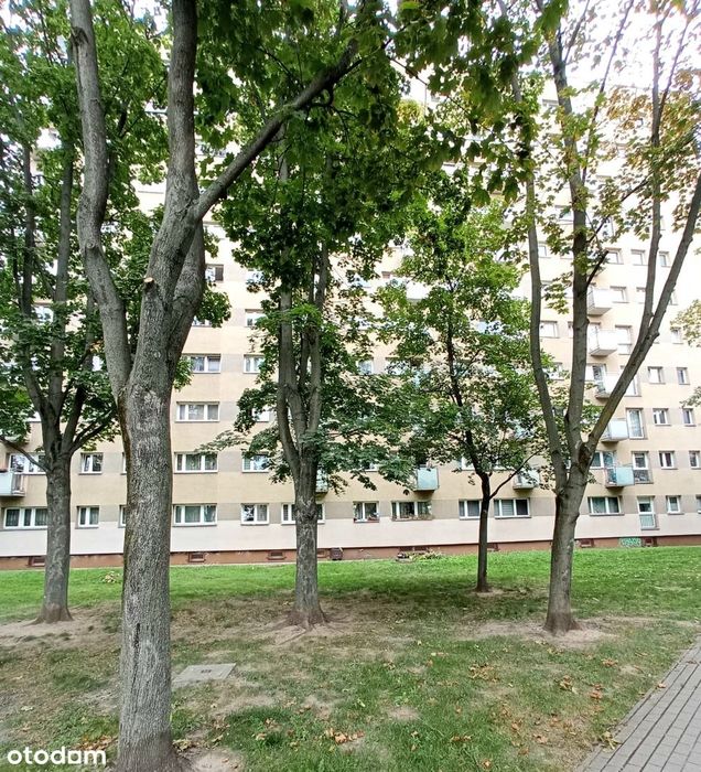 Zdjęcie 7