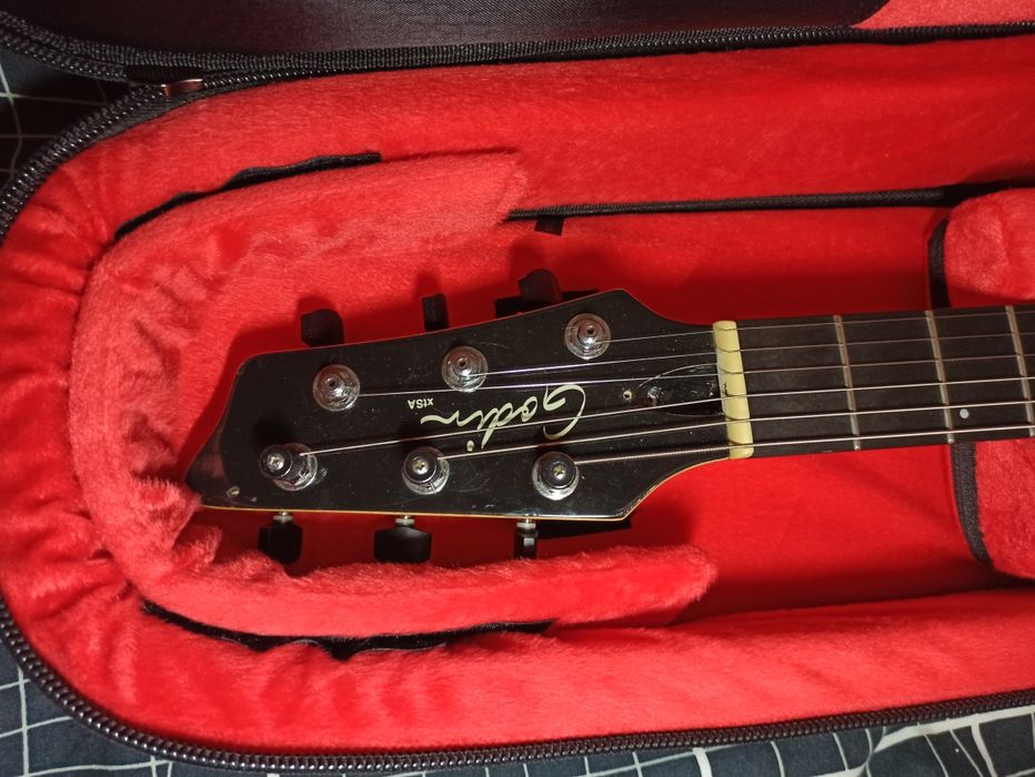 Godin xtSA universal guitar