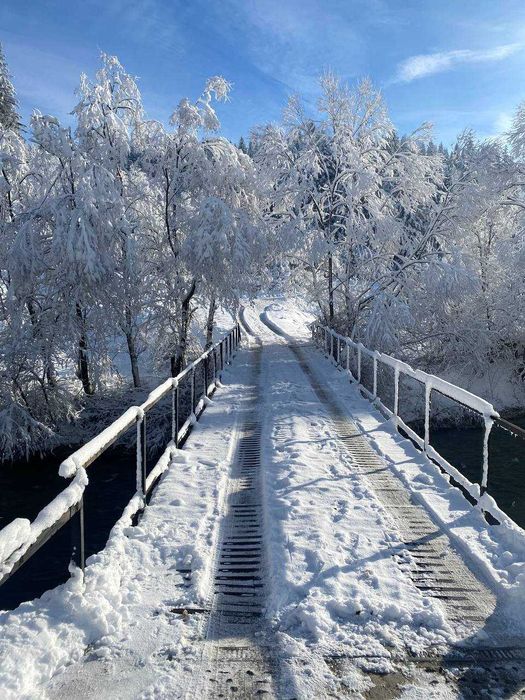 Лісова казка у пані Стефанії  Котедж , відпочинок в Карпатах, Славське