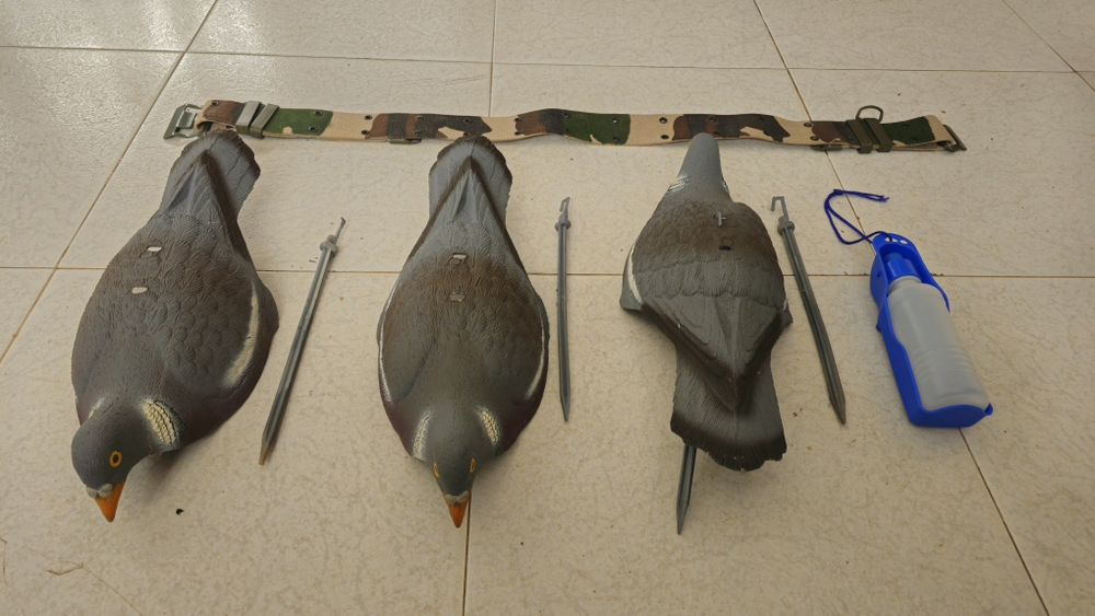 Artigos caça e cães