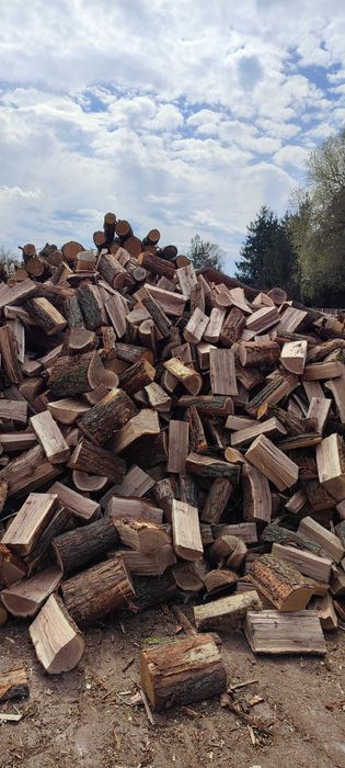 dąb drewno kominkowe  połupane opałowe liściaste