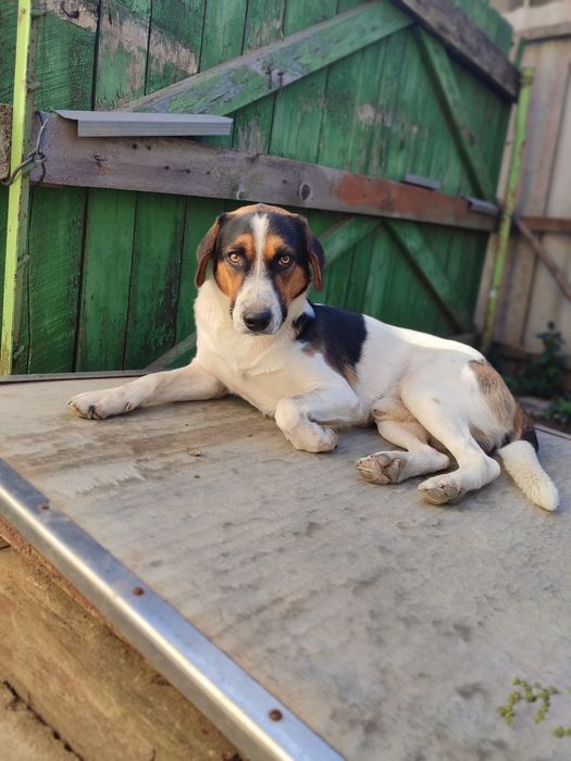 Кабель Марик ищет девочку