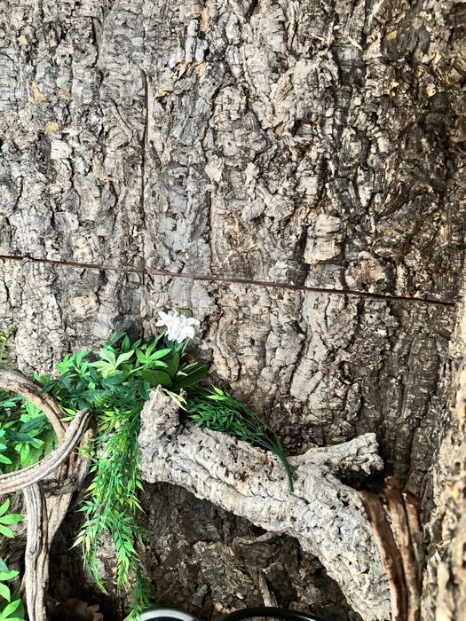 Terrarium 120 agama legwan kameleon bazyliszek