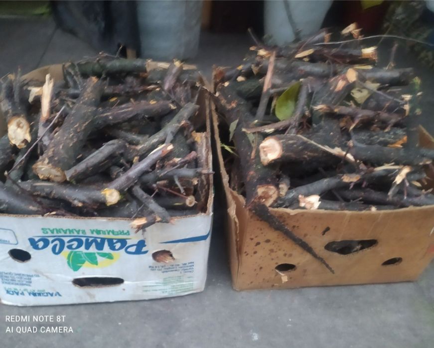 Дрова фруктових дерев