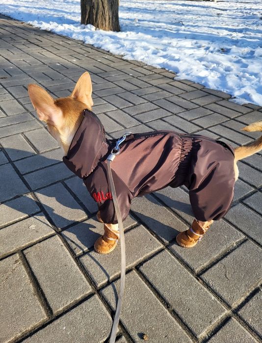 Одяг для собак дівчинка ( закритий живіт)