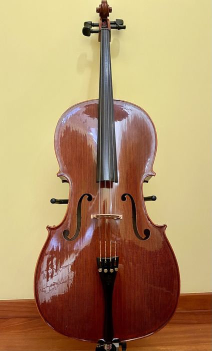 Violoncelo 4/4 + Arco + Caixa de transporte
