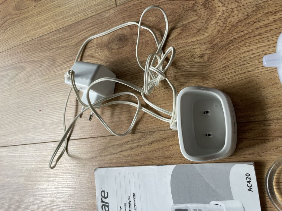 Elektroniczna niania