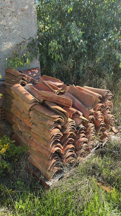 Lote de Telhas Alentejanas