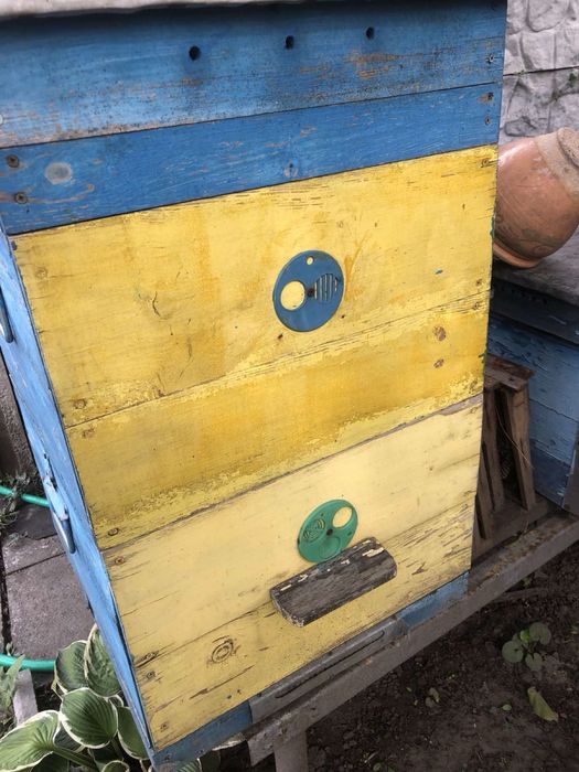Продам улики для пчёл