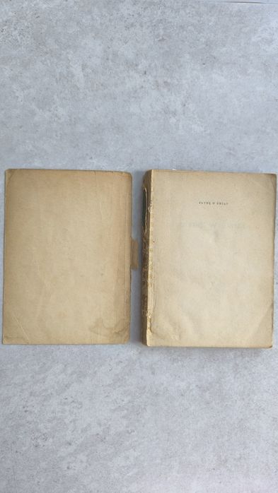 Płynę w świat - Czajka