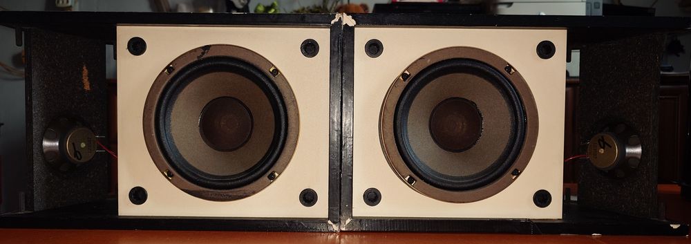 Kolumny Bose 205