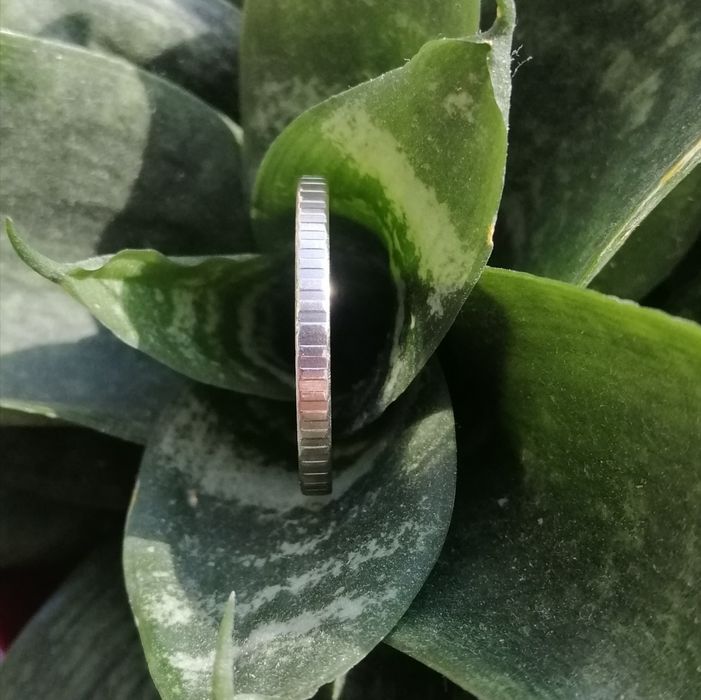 Колекційна монета 10 гривень