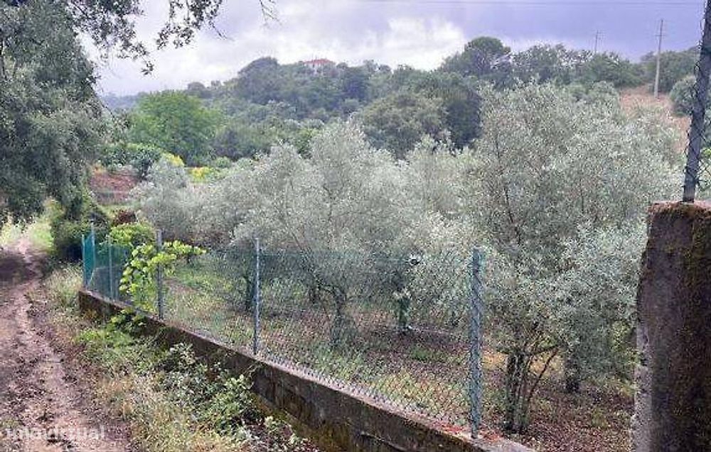 Terreno  para venda — Torres Novas (São Pedro), Lapas E Ribeira Branca, Santarém