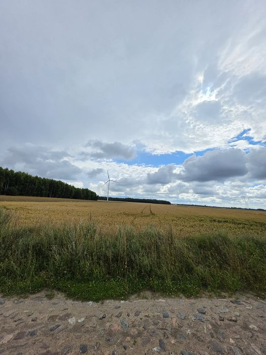 Sprzedam grunty rolne III klasa Bięcino, gmina Damnica