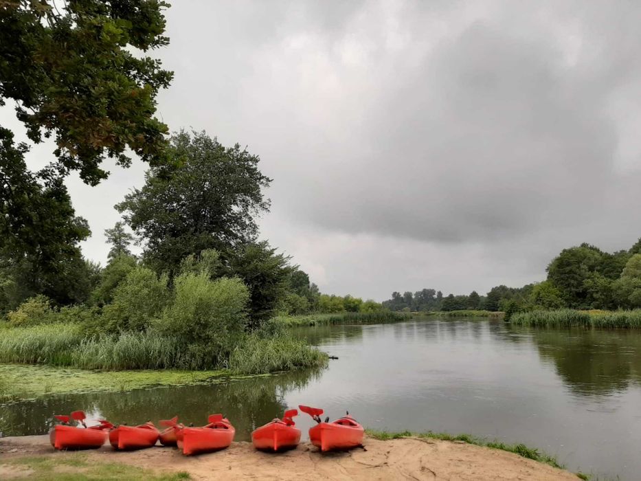 Domek nad rzeką Pilicą. Białobrzegi. Kajaki,rowery,grzyby wędkowanie. 40 min od Wawy.