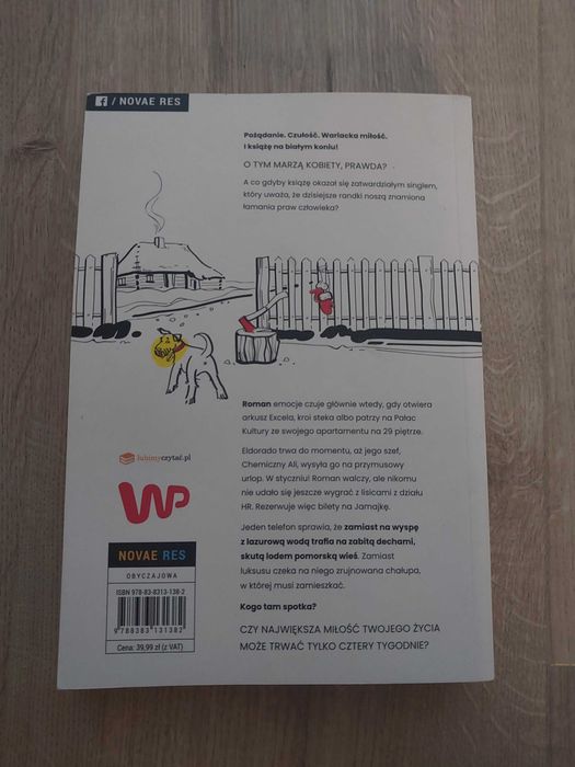 Romans Piotr C. Autor pokolenia Ikea