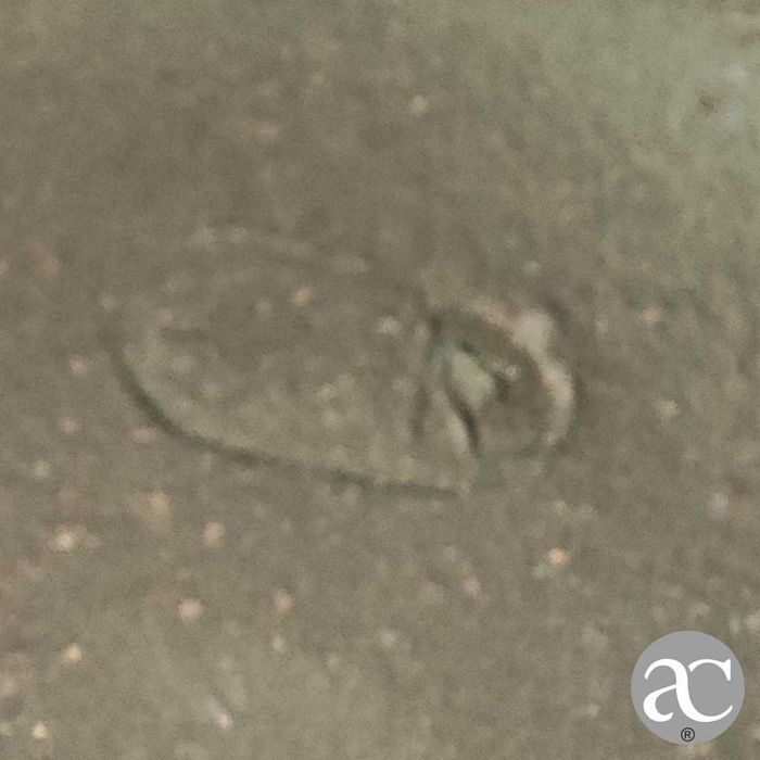 Bule Yixing em Terracota – China, feito à mão n2