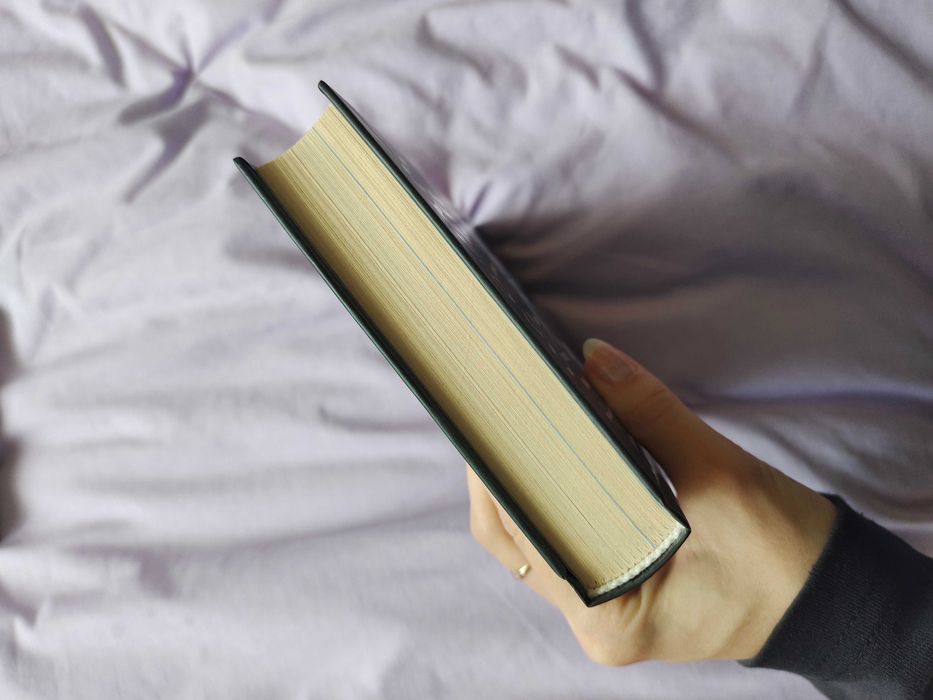 Книга Чорний ворон залишинець Василь Шкляр нова