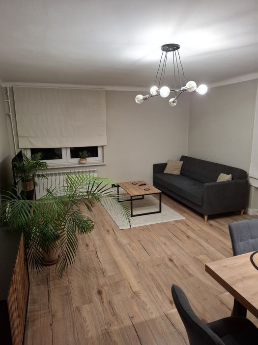 Dwupokojowe mieszkanie 55m ² na wynajem Lubartów