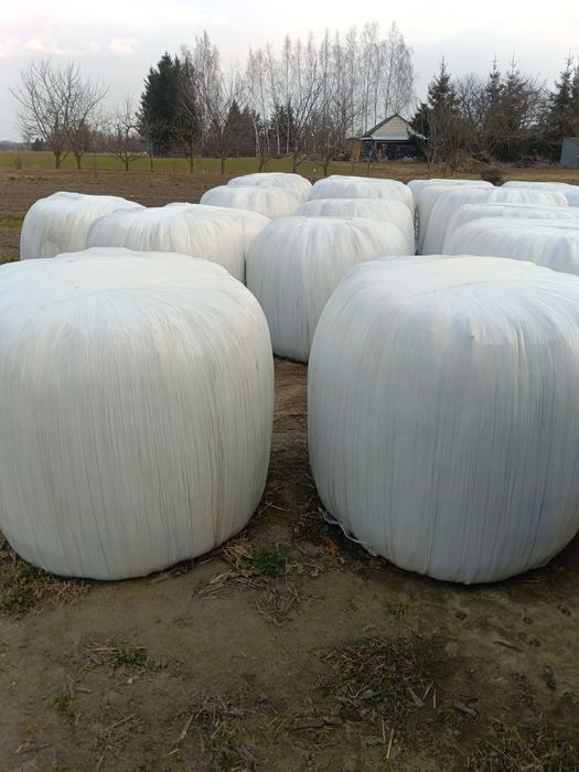 Sianokiszonkaz trawy