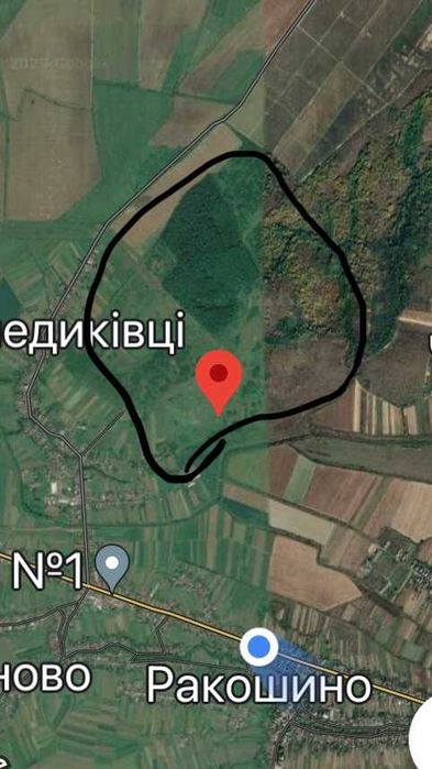 Фото ділянки