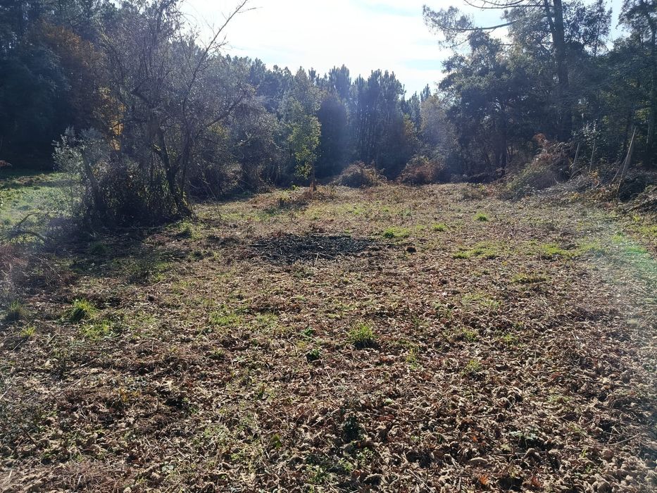 Vende-se quinta Cabeçudo, Sertã