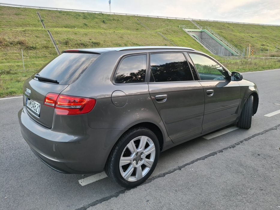 Audi A3 8P 2.0 TDI