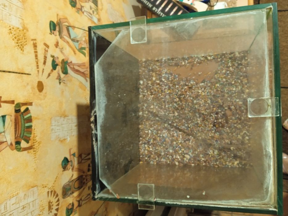 Продам недорого акваріум