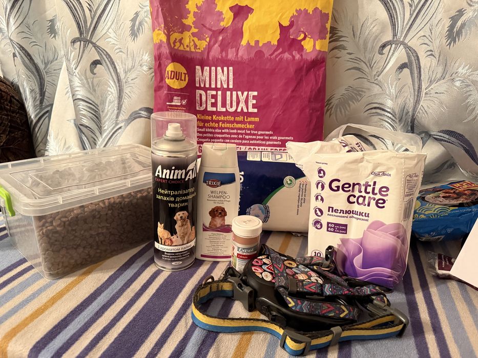 Французкий Бульдог