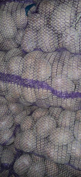 Картопля, картошка