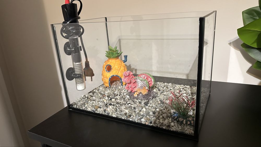 Akwarium  30x20x20cm