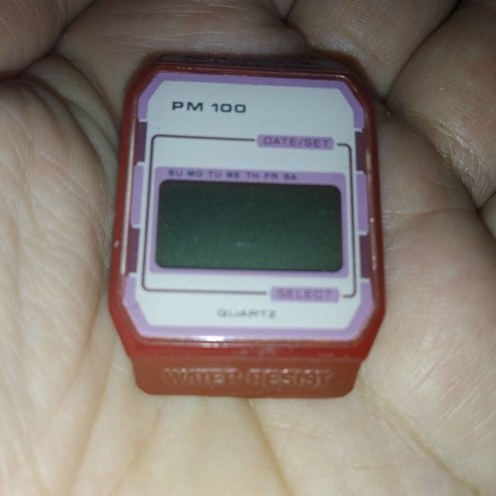 Часы Sanyo PM 100