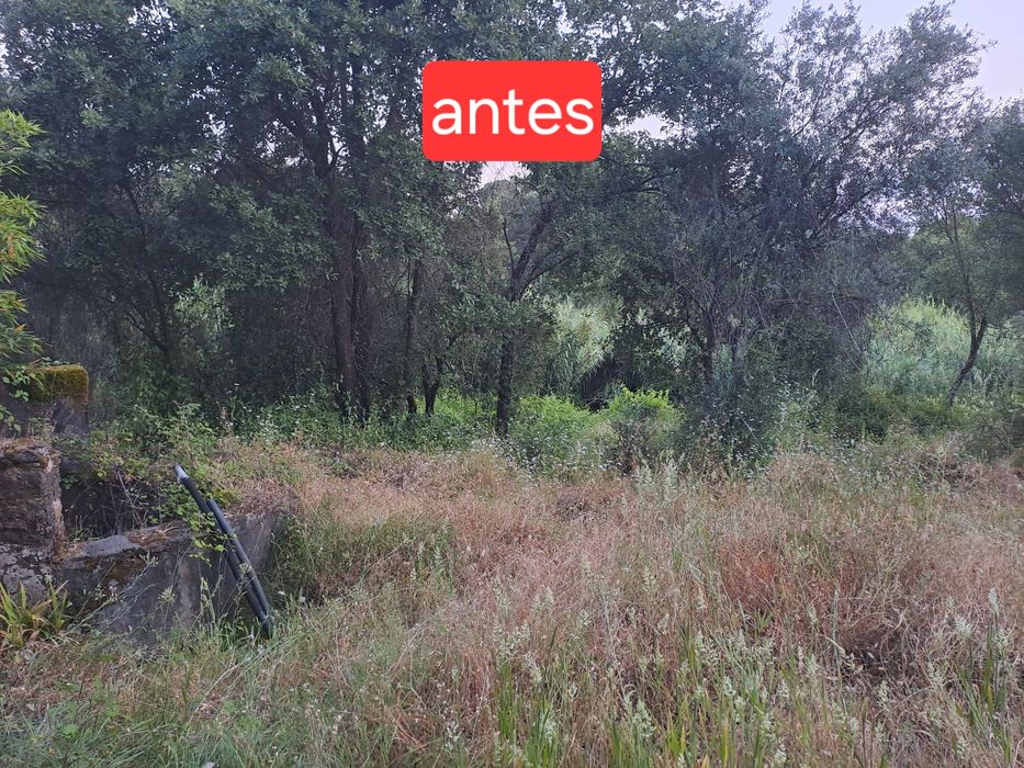 Limpeza de terrenos/ desmatação/ lavouras com trator