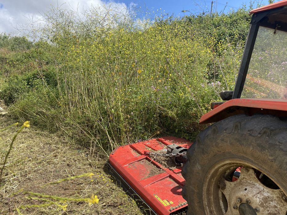 Servico Terraplanagem, limpezas terrenos, lavouras, remoção de entulho